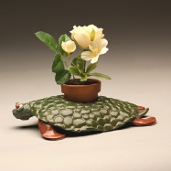 turtle planter