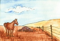 Shirley the Horse